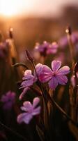 Breathtaking wildflowers in morning light with dew photo