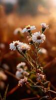 brillante flores silvestres espumoso en Mañana ligero foto
