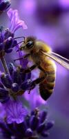 Honeybee pollinates vibrant purple flowers in nature photo