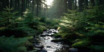 Lush forest stream flows through vibrant greenery photo