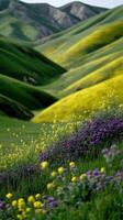 Vibrant wildflowers bloom in lush green valleys photo