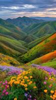 Vibrant wildflower landscape with rolling green hills photo