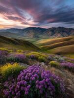Vibrant flowers bloom in a tranquil mountain landscape photo