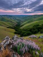 Stunning sunset over rolling green hills and valleys photo