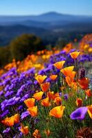 Colorful wildflowers bloom in a lush valley landscape photo