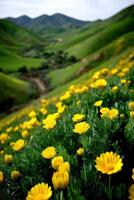 Vibrant yellow flowers bloom in lush green valley photo