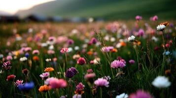 Colorful flowers bloom in a vibrant meadow at dusk photo