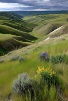 Rolling green hills under a cloudy sky in nature photo