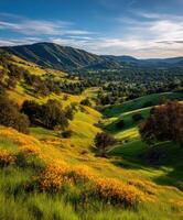 A beautiful view of a valley photo