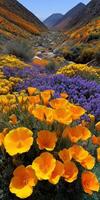 Vibrant wildflower bloom in a scenic valley landscape photo
