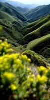 A view of the hills and green grass photo