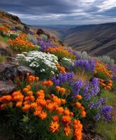 Vibrant wildflowers blooming in a mountain valley photo