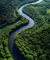 An aerial view of a river flowing through a green forest photo