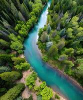 An aerial view of a river surrounded by green trees photo
