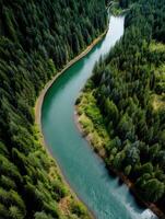 Winding river surrounded by lush green forest terrain photo