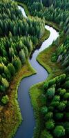 Winding river through lush green forests at sunset photo