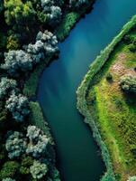 Aerial view of river in green forest photo