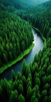An aerial view of a river in a forest photo
