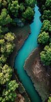 Aerial view of a river in a tropical forest photo