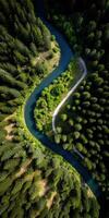 An aerial view of a winding river in the forest photo