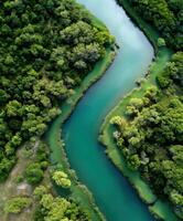 River flows through lush green nature photo