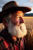 Elderly man stands in golden field at sunset photo