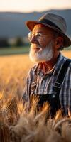An old man in a hat and glasses standing in a wheat field photo