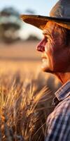 A man in a hat standing in a wheat field photo
