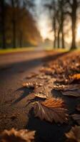 Autumn leaves scattered along a quiet pathway photo