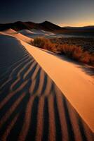 Dunes at sunset cast beautiful shadows photo