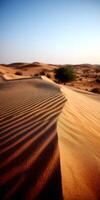 Desert dunes create stunning patterns at sunset photo
