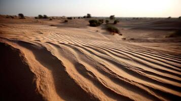 Sand dunes in the desert under soft sunlight glow photo