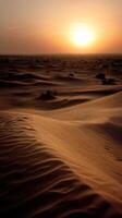 Sunset over vast desert landscape under clear sky photo