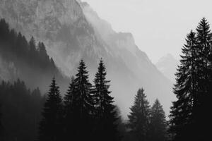 Misty mountain landscape with towering evergreens photo