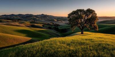 Vibrant hills with a solitary tree at golden hour photo