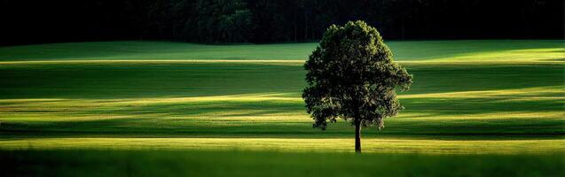 Lonely tree stands in green field during daylight hours photo