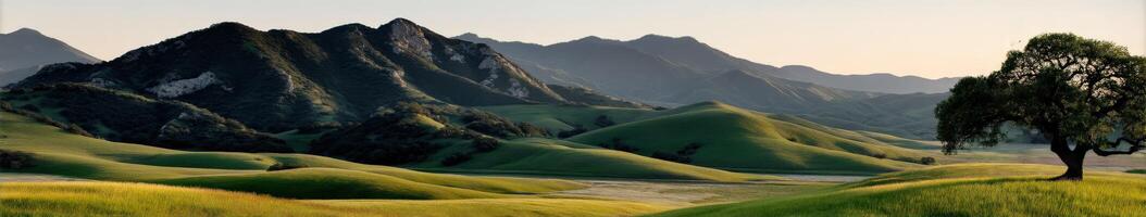 Rolling green hills under a clear sky at sunset photo