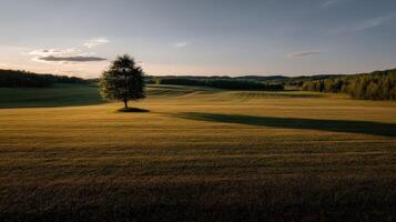 Golden hour over tranquil countryside landscape photo