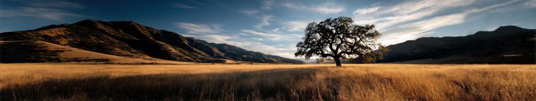 Vast landscape with solitary tree under blue sky photo