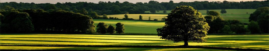 Clear evening sky over a lush green landscape photo