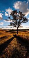 Golden sunset illuminates lone tree in serene landscape photo