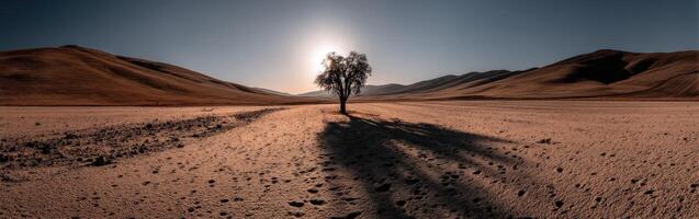Lone tree stands in vast desert landscape at sunset photo