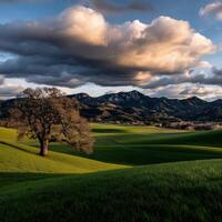 Green hills and dramatic clouds at dusk photo