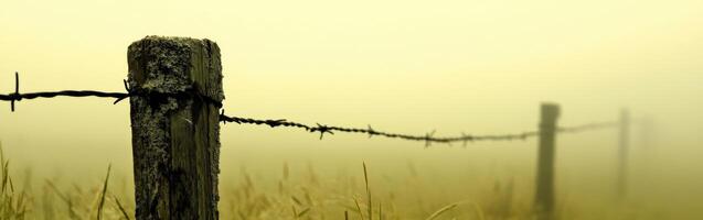 Barbed wire fence in the fog photo