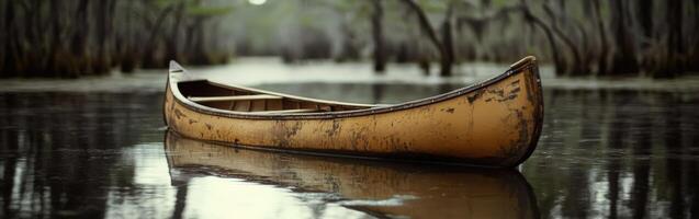 Canoe floating quietly in a serene swamp setting photo