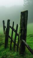 Foggy fence in the green meadow photo
