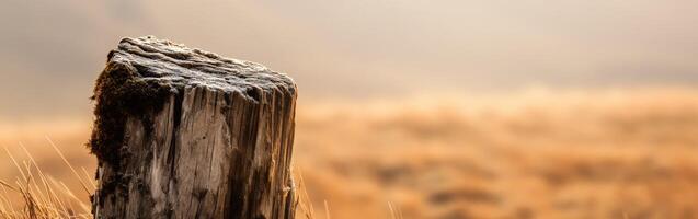 A wooden post in the middle of a field photo