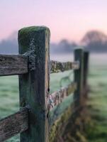 Foggy morning at the edge of a field photo