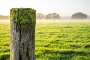 A post in a field with a green grassy field photo