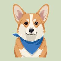 Corgi dog with blue bandana portrait illustration in square format vector